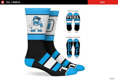 Engine Ice Socks